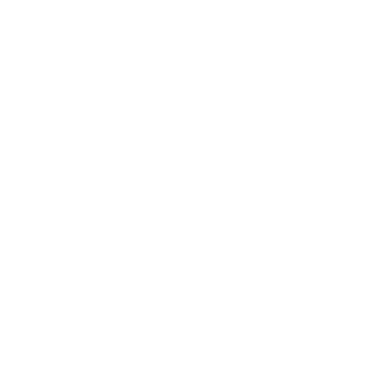FAST LOGISTICS