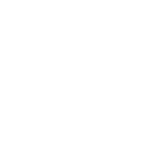 PRECISION SURVEY